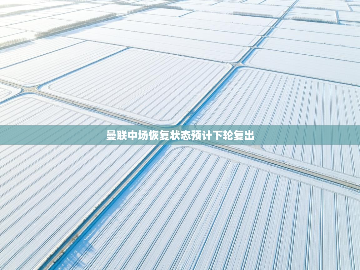 曼联中场恢复状态预计下轮复出  第1张