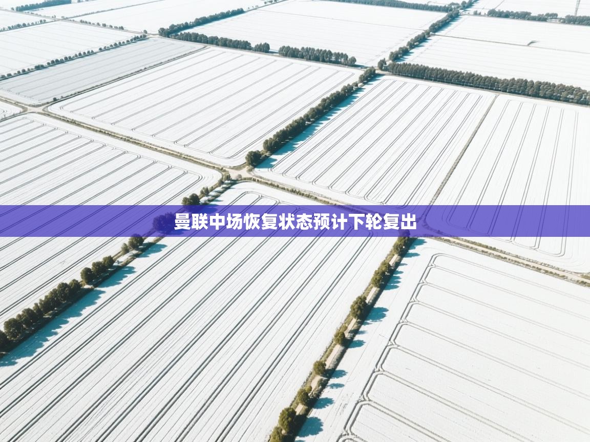 曼联中场恢复状态预计下轮复出  第2张