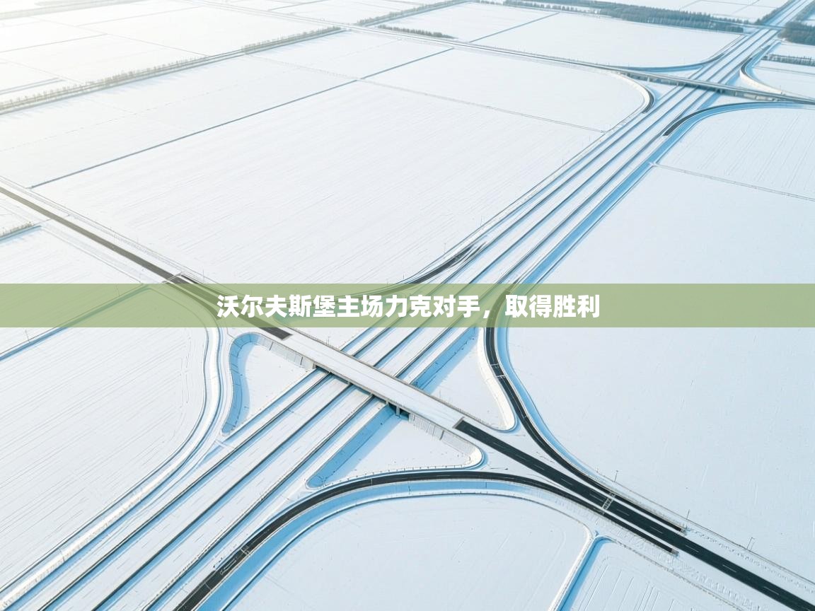 沃尔夫斯堡主场力克对手，取得胜利  第1张