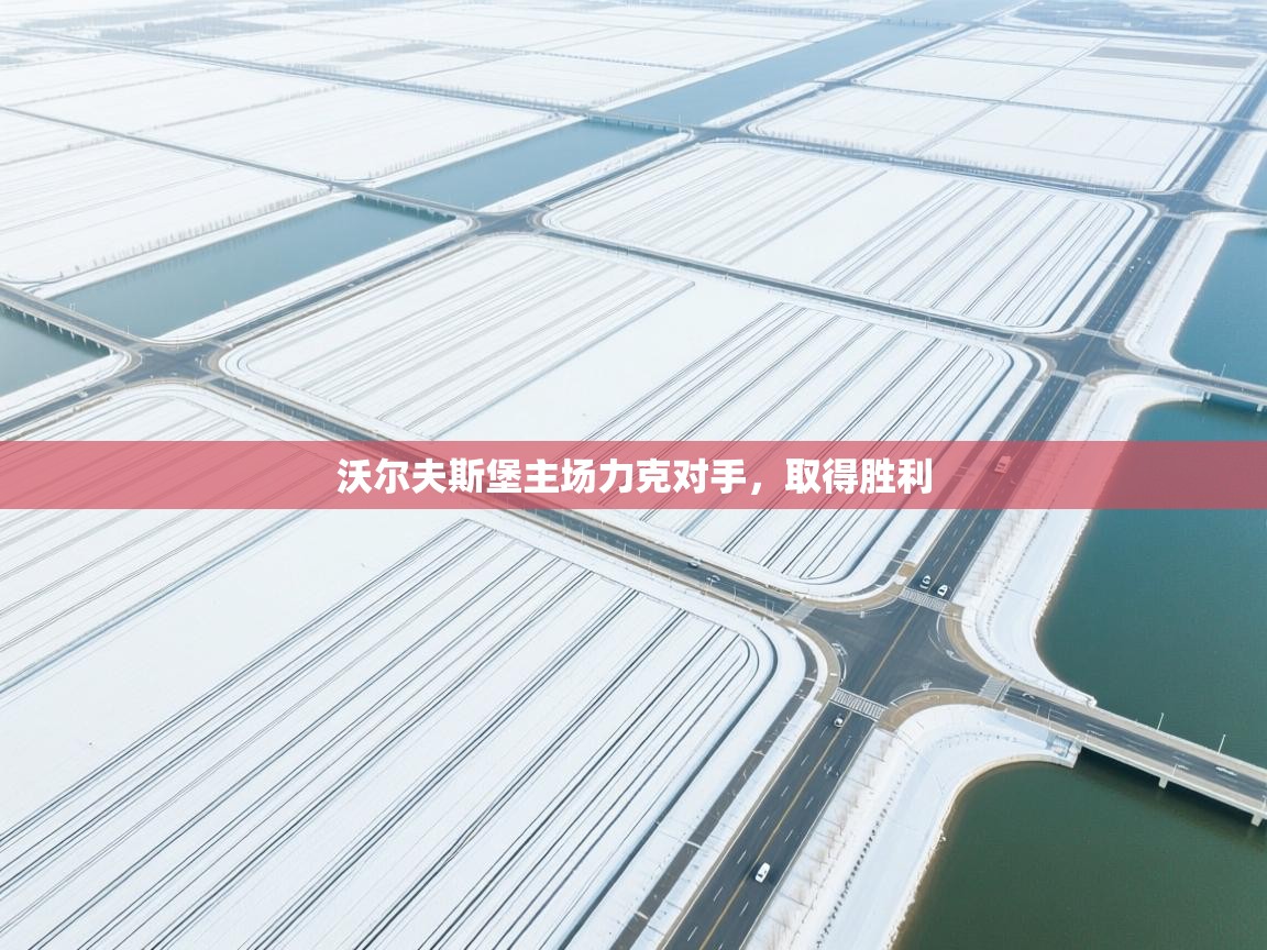 沃尔夫斯堡主场力克对手，取得胜利  第2张